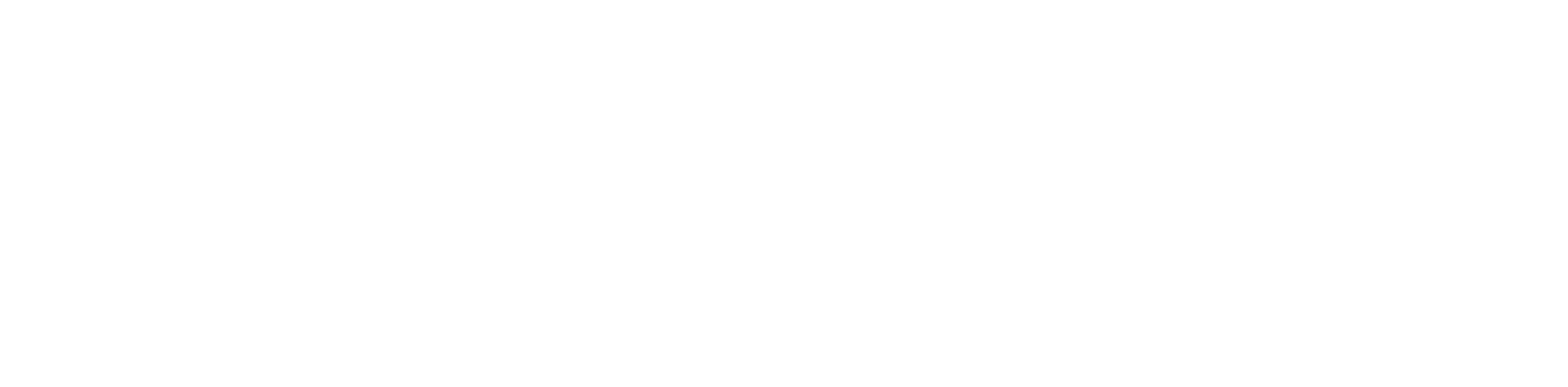 Bleemeo Logo