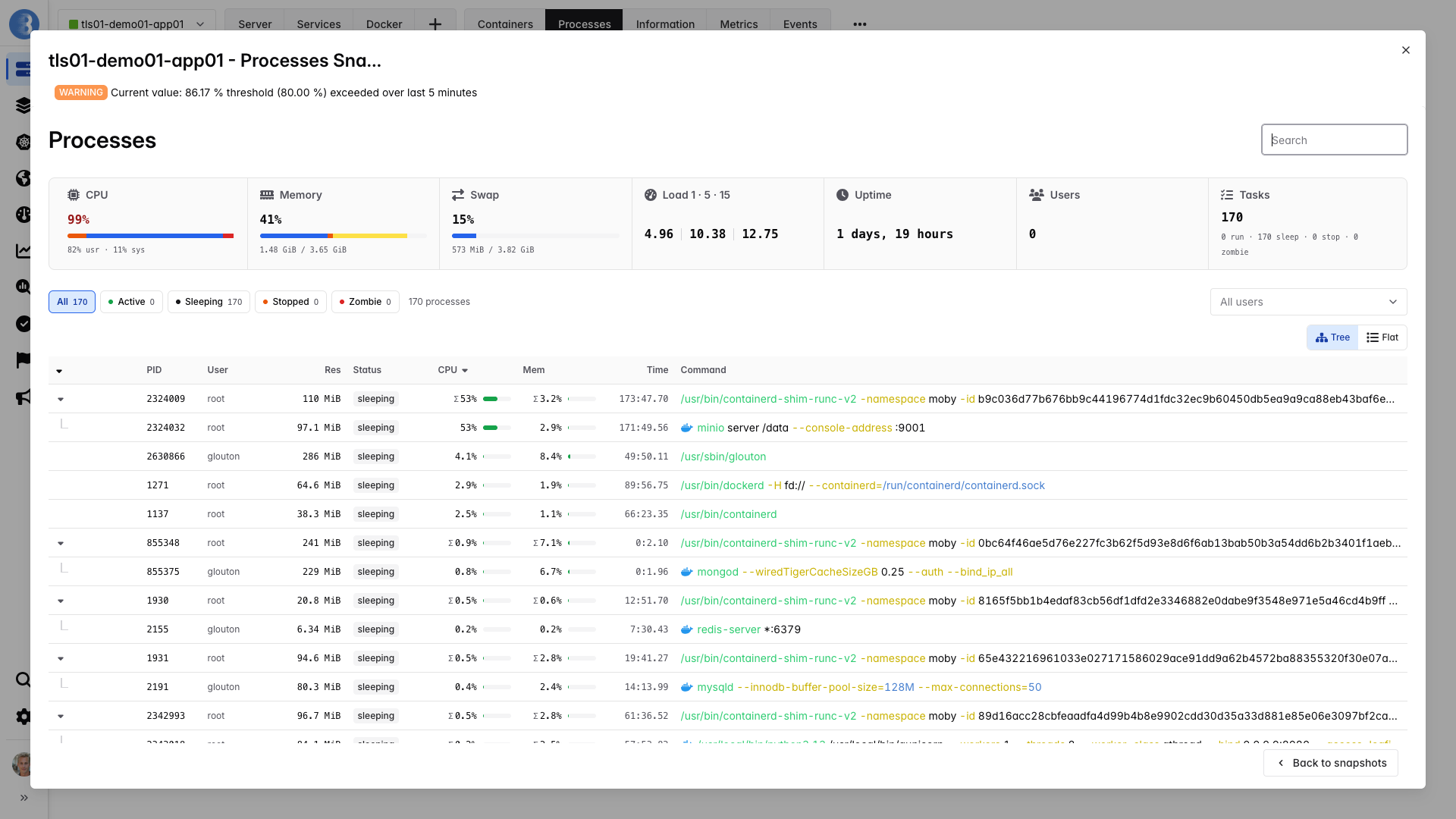 A single process snapshot in Bleemeo showing the alert badge and the full process list frozen at the moment the CPU alert fired